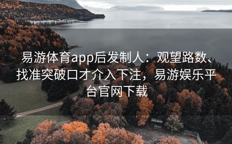 易游体育app后发制人：观望路数、找准突破口才介入下注，易游娱乐平台官网下载