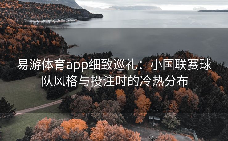 易游体育app细致巡礼：小国联赛球队风格与投注时的冷热分布